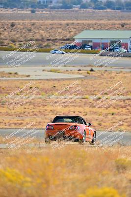 media/Nov-16-2024-Extreme Speed (Sat) [[6587d07cc4]]/Gold Group/Session 1 (Turn 2)/